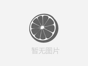 【人人講安全，個個會應(yīng)急——暢通生命通道 】河南鴻宸積極參加安陽市2024年“安全宣傳咨詢?nèi)铡被顒? style=
